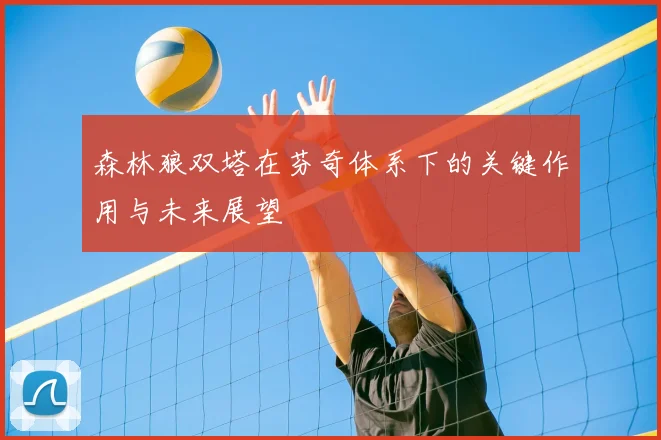 森林狼双塔在芬奇体系下的关键作用与未来展望