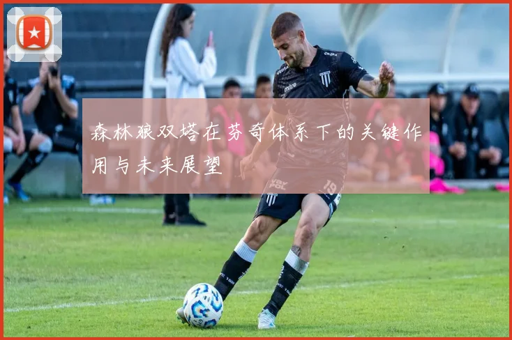 森林狼双塔在芬奇体系下的关键作用与未来展望