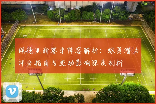 佩德里新赛季阵容解析：球员潜力评分指南与变动影响深度剖析